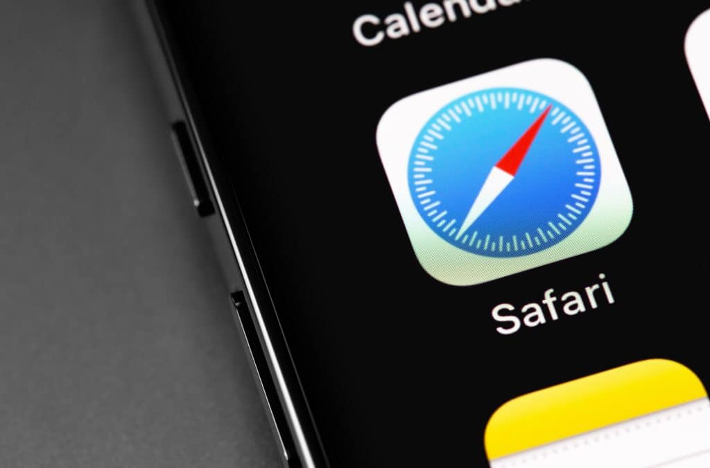 Safari Icon 